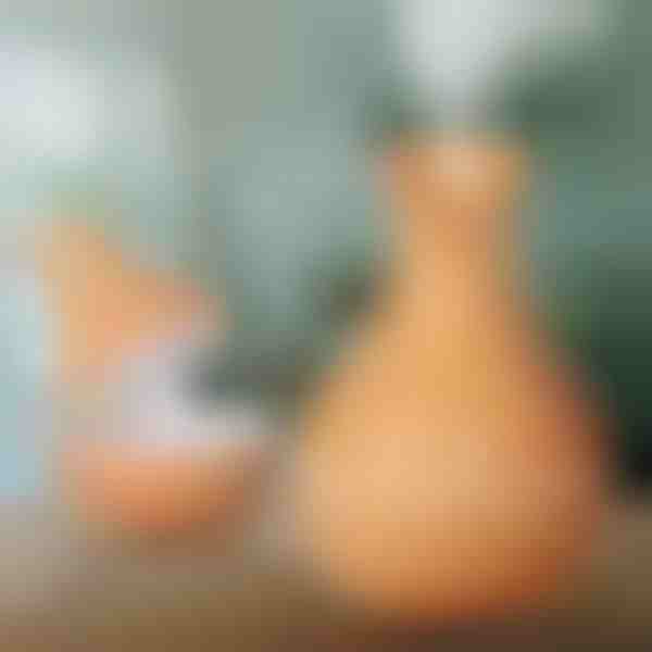 Luftbefeuchter aus Holz | HUMISTER