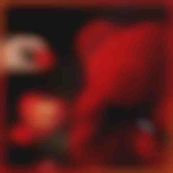 Das geschenk, das liebe spricht | LOVEBEAR